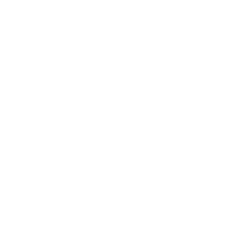 Ravix Group
